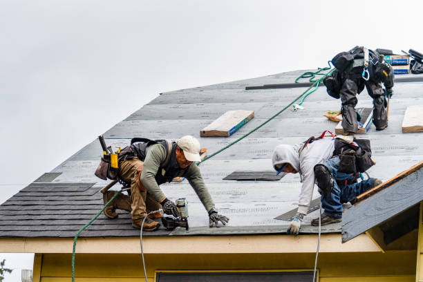 Professional Roofing technician working in Brokaw, WI